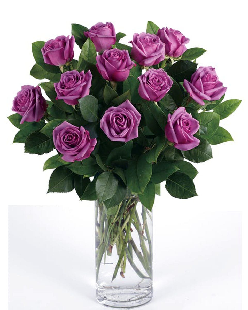 Purple Roses arranged in a Vase 12 Purple Roses-Standard Beautiful, Vibrant,  Purple Roses are arranged in a Vase with seasonal greens and fillers.
DELIVERY: Every order is hand-delivered direct to the recipient. These items will be delivered by us locally, or a qualified retail local florist.