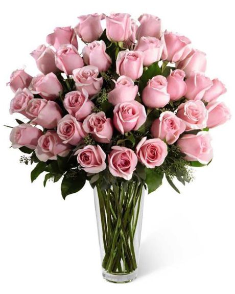 36 pink roses-36 pink roses arranged in a vase-pink roses