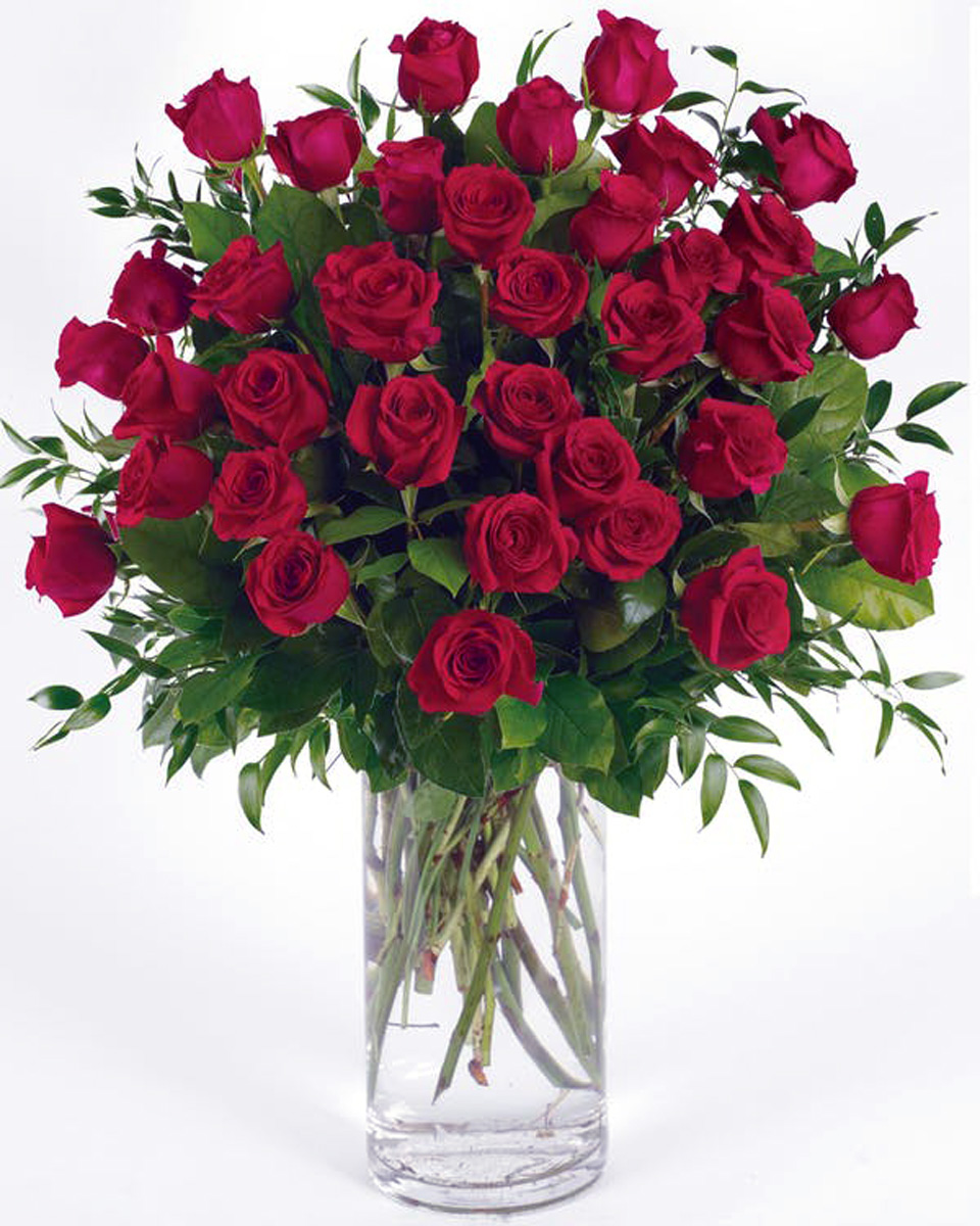 36 Red Roses 36 Red Roses-Standard 36 Beautiful Ecuadorian red roses arranged in a glass vase with assorted greenery & filler.
DELIVERY: Every order is hand-delivered direct to the recipient. These items will be delivered by us locally, or a qualified retail local florist.