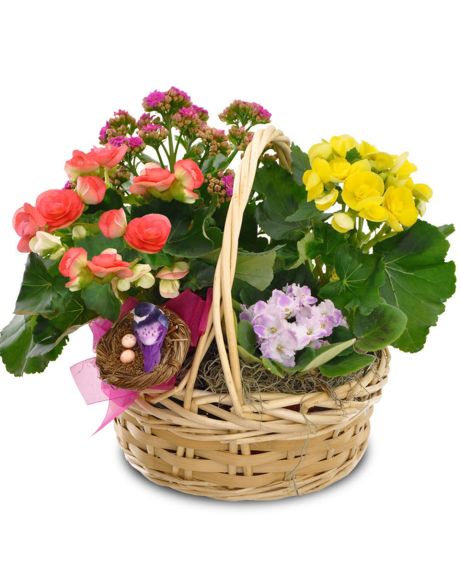 Blooming Basket Garden