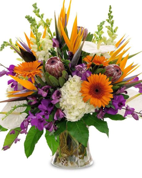 Somethings Wild-Snapdragons, Hydrangea, Protea, Birds of Paradise, Gerbera Daisies, Dendrobium Orchids, Antherium and complimentary tropical greens arranged in a clear vase.-Fall Arrangement