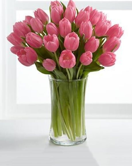 Passionate Pink Tulips
