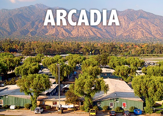 Arcadia Flower Shop