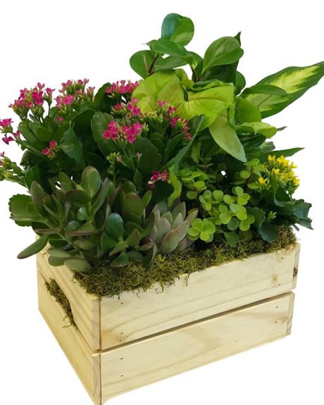 Blooming Crate