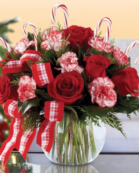 Candy cane bowl-ich red roses and peppermint carnations are delicately arranged amongst holiday greens to create a festive display. -Christmas Arrangements