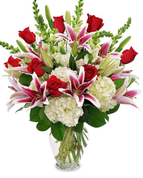 Rose County-Beauty and romance! Send a magnificent combination of fragrant red Roses, locally grown Stargazer Lilies, and white Snapdragons nestled in with stunning white Hydrangea.-roses