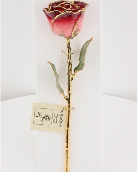 2 tone pink gold dipped rose-pink rose dipped in 24 Karrat Gold-Roses