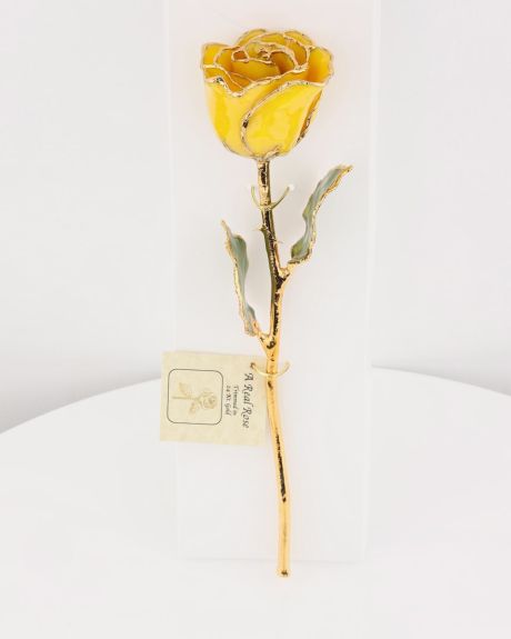 Gold Dipped Yellow Rose
