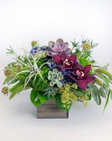Whimsical Gardens-Antique hydrangea, burgundy cymbidium orchids, green ball dianthus, thistle, and other premium flowers are accented by an assortment and succulents of all sizes in this delightful arrangement designed in a wood box.-cube arrangements