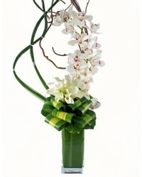 Artisan Orchids